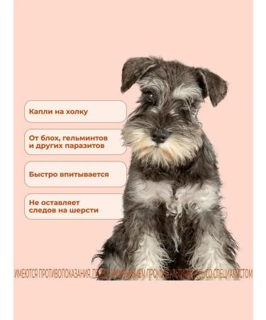 KRKA Sealess Drops for dogs from 5.1 to 10 kg - Buy Online on GoSupps.com