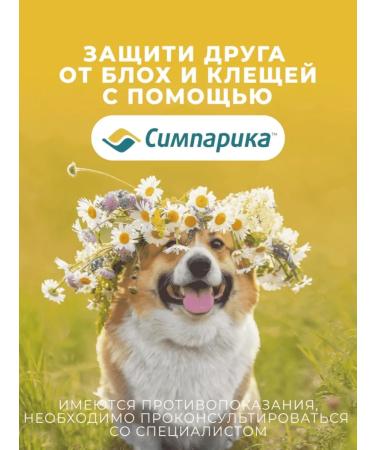 Zoetis Simeparika tablets from fleas and ticks for dogs 10-20 kg - Buy Online on GoSupps.com