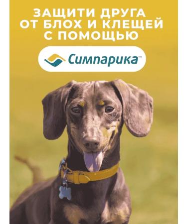 Zoetis Simeparika tablets from fleas and ticks for dogs 5 - 10 kg - Buy Online on GoSupps.com