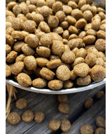 Dog feed 12 kg chicken beef Medium Adult 24 5% - Buy Online on GoSupps.com