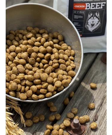 Dog feed 12 kg chicken beef Medium Adult 24 5% - Buy Online on GoSupps.com