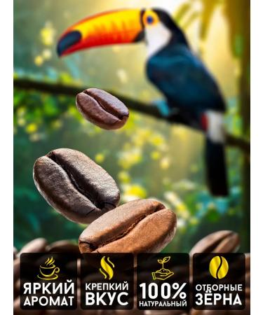 Coffee Bean Coffee in grains 1 kg of arabica 100% Brazil - Buy Online on GoSupps.com