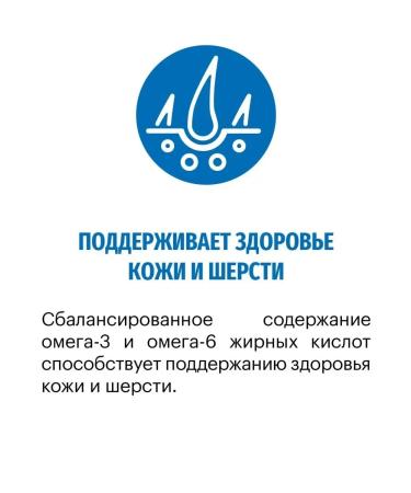 KARMY Dog food dry maxi adult veal 14 kg - Buy Online on GoSupps.com