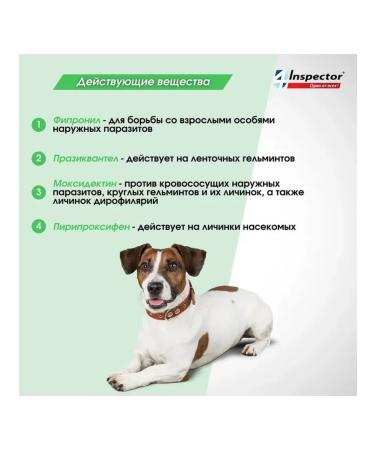 Neoterica Drops for dogs Inspector Quadro C 4 - 10 kg 1 ml 3 pipettes - Buy Online on GoSupps.com