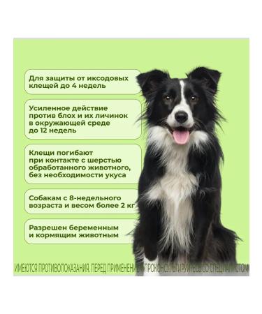 KRKA Fiprist Combo for dogs 10 - 20 kg 1 pipette - Buy Online on GoSupps.com