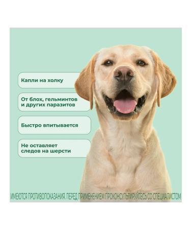 KRKA Sealess 240 mg for dogs weighing 20 to 40 kg - Buy Online on GoSupps.com