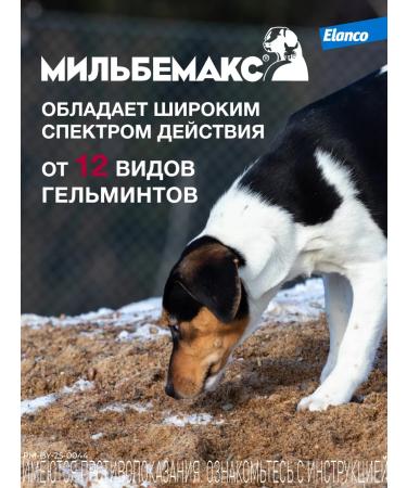 Elanco Milbemax for puppies and small dogs 2 tablets - Buy Online on GoSupps.com