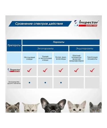 Neoterica Inspector Quadro Tabs tablets from 0.5-2kg 4 tabs - Buy Online on GoSupps.com