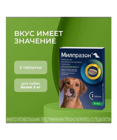 KRKA Milprazon Dog tablets weighing more than 5 kg 2 tab