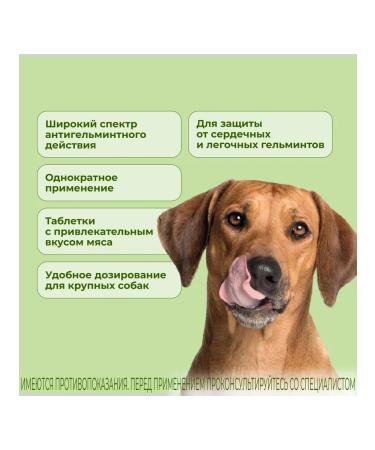 KRKA Milprazon Dog tablets weighing more than 5 kg 2 tab - Buy Online on GoSupps.com