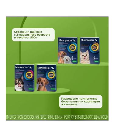 KRKA Milprazon Dog tablets weighing more than 5 kg 2 tab - Buy Online on GoSupps.com