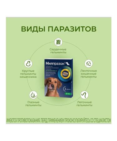 KRKA Milprazon Dog tablets weighing more than 5 kg 2 tab - Buy Online on GoSupps.com