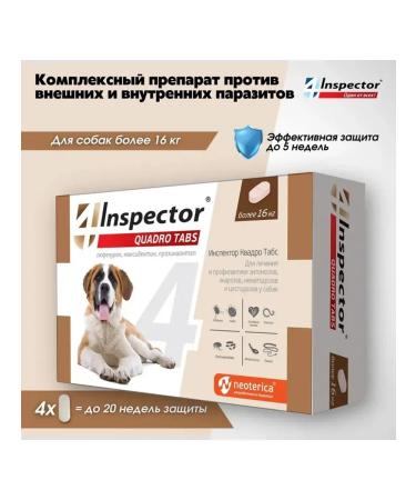 Neoterica Inspector Quadro Tabs from 16 kg 4 tabs