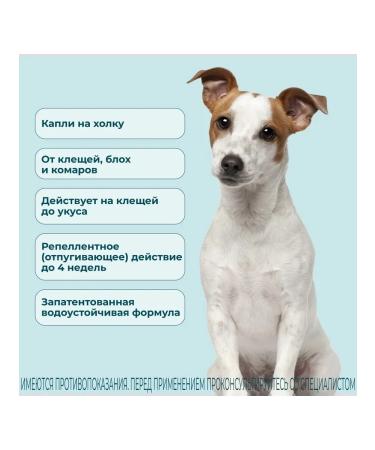 KRKA Attles of dog drops weighing 4 to 10 kg - Buy Online on GoSupps.com