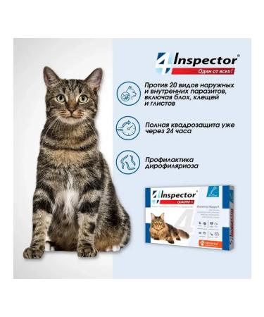 Neoterica Drops for cats Inspector Quadro K 8 - 15 kg 1 ml 1 pipette - Buy Online on GoSupps.com