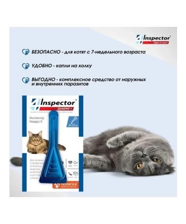 Neoterica Drops for cats Inspector Quadro K 8 - 15 kg 1 ml 1 pipette - Buy Online on GoSupps.com