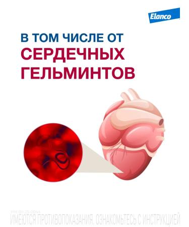 Elanco Milbemax for large dogs 2 tablets - Buy Online on GoSupps.com