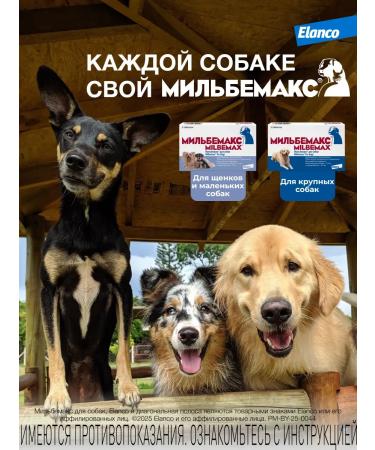 Elanco Milbemax for large dogs 2 tablets - Buy Online on GoSupps.com