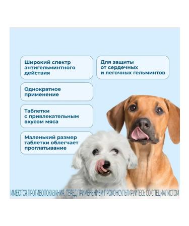 KRKA Milprazon tablets for puppies and dogs weighing  - Buy Online on GoSupps.com