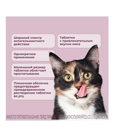 KRKA Milprazone tablets for cats weighing more than 2 kg 2 tab - Buy Online on GoSupps.com