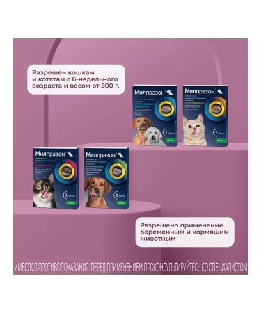 KRKA Milprazone tablets for cats weighing more than 2 kg 2 tab - Buy Online on GoSupps.com