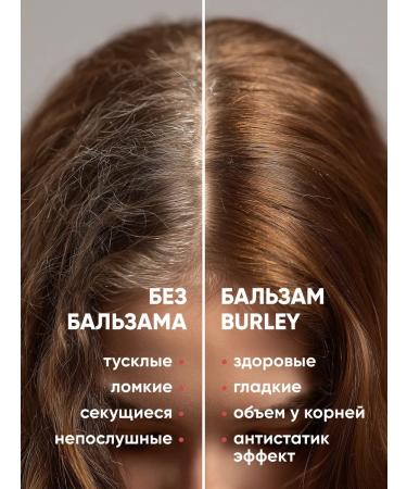 Burley Balm air conditioner professional with keratin - Buy Online on GoSupps.com