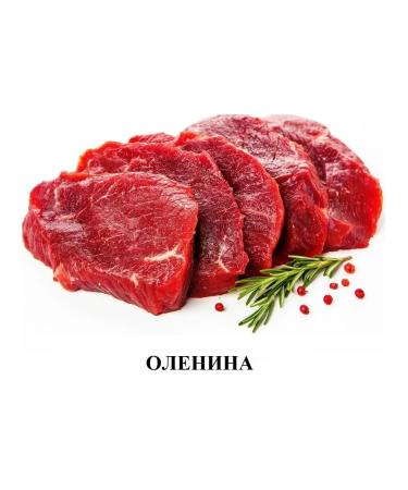 Alleva Holistic feed for dogs of medium and large rocks of the lamb 12kg - Buy Online on GoSupps.com