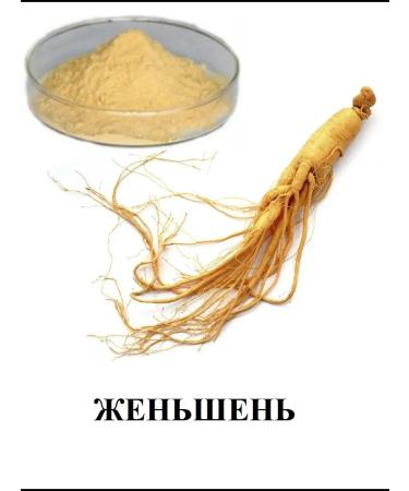 Alleva Holistic feed for dogs of medium and large rocks of the lamb 12kg - Buy Online on GoSupps.com