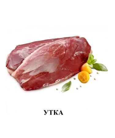 Alleva Holistic food for sterilized cats chicken and duck 1.5 kg - Buy Online on GoSupps.com