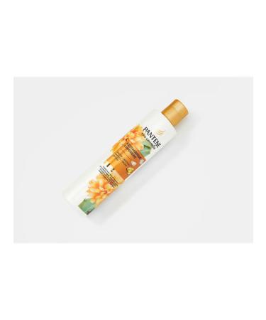 PANTENE Shampoo Restoration and Strengthening Miracles Cactus Flower - Buy Online on GoSupps.com