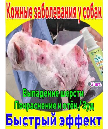 Spray for the treatment of skin diseases in cats and dogs 200 ml
