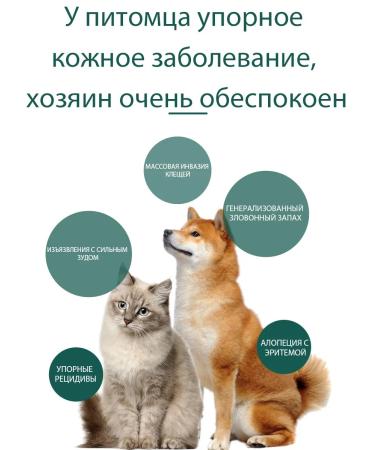 Spray for the treatment of skin diseases in cats and dogs 200 ml - Buy Online on GoSupps.com