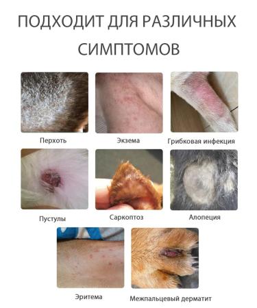 Spray for the treatment of skin diseases in cats and dogs 200 ml - Buy Online on GoSupps.com