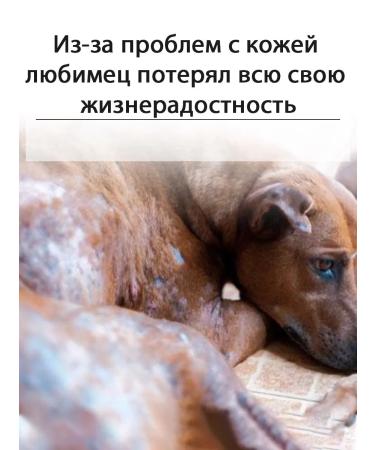 Spray for the treatment of skin diseases in cats and dogs 200 ml - Buy Online on GoSupps.com