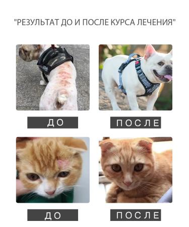 Spray for the treatment of skin diseases in cats and dogs 200 ml - Buy Online on GoSupps.com