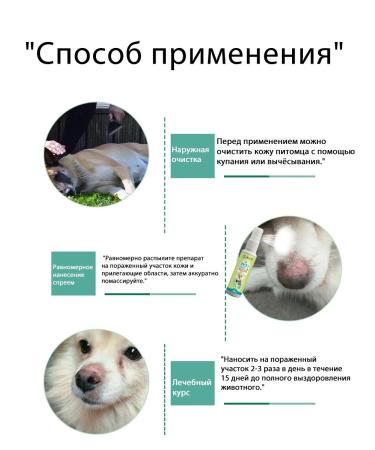 Spray for the treatment of skin diseases in cats and dogs 200 ml - Buy Online on GoSupps.com