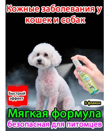 Spray from skin diseases for cats and dogs