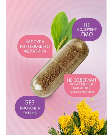 Altai Concept Complex for the stomach and intestines - Buy Online on GoSupps.com