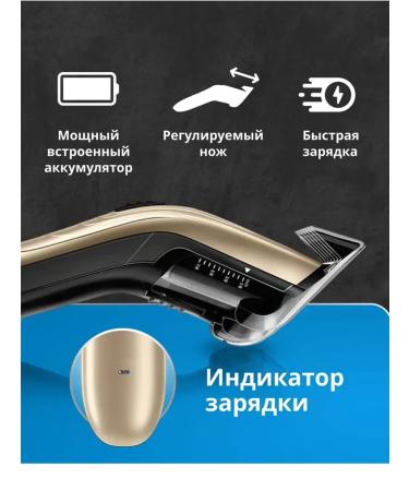 PHILIPS Hair household machine QC3151 15 - Buy Online on GoSupps.com