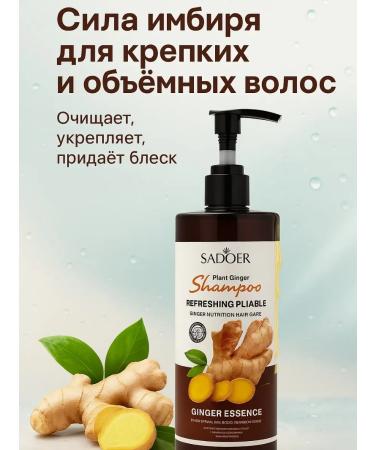 DegterevaNata Ginger shampoo for hair growth