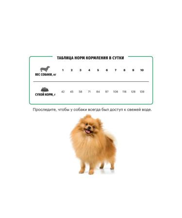 KARMY Mini adult dry food for adult small dogs turkey 10 kg - Buy Online on GoSupps.com