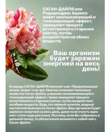 House and Loft Natural drink without sugar with amber and herbs extracts - Buy Online on GoSupps.com