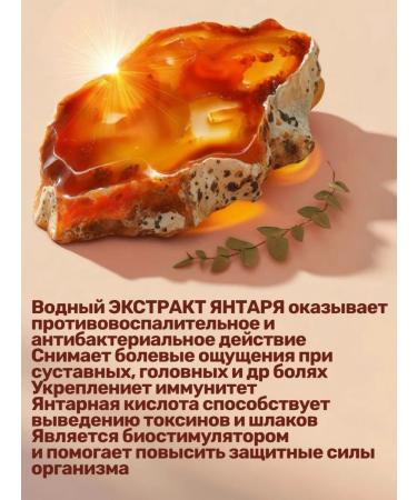 House and Loft Natural drink without sugar with amber and herbs extracts - Buy Online on GoSupps.com