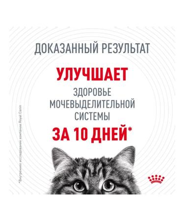 ROYAL CANIN Cat Feed Urinary Care 400 g - Buy Online on GoSupps.com