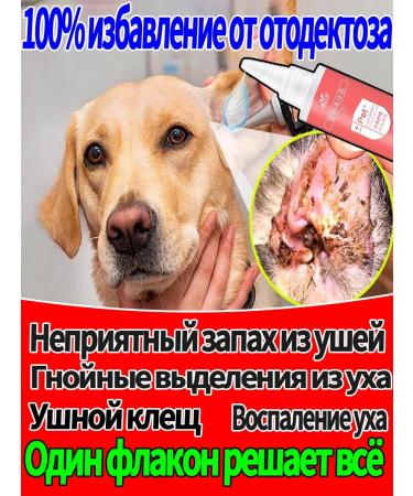 Drops from the ear tick for a cat