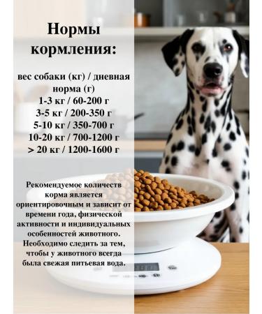 LANDOR Wet food for adult dogs goose with a movie 400g (12pcs) - Buy Online on GoSupps.com