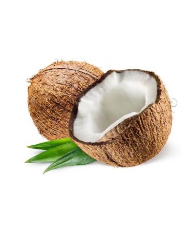 Planto Coconut drink with soy Barista 1 l Russia - Buy Online on GoSupps.com