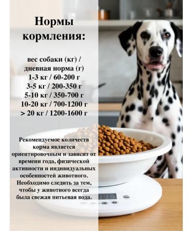 LANDOR Wet feed for dogs A quail with giblets 400g (6pcs) - Buy Online on GoSupps.com