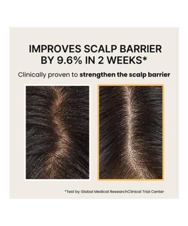 Dr Forhair SOY BIOOME SCALP Balance SHAMPOO 480 ML shampoo - Buy Online on GoSupps.com