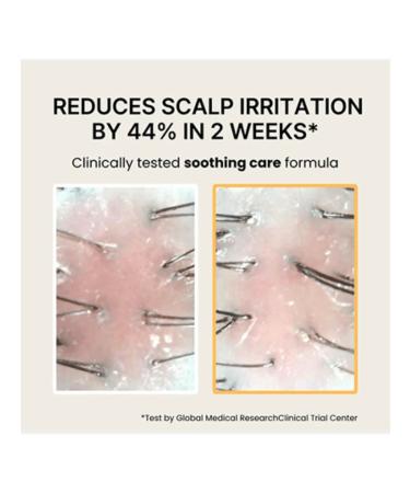 Dr Forhair SOY BIOOME SCALP Balance SHAMPOO 480 ML shampoo - Buy Online on GoSupps.com